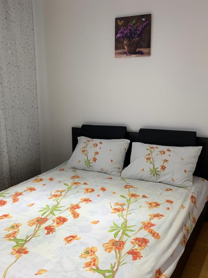 19 Residence Apartment Cavnic Eksteriør billede