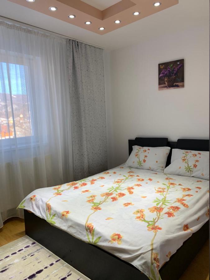 19 Residence Apartment Cavnic Eksteriør billede
